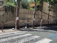 vomero_via_cimarosa_platani_da_potare_1.jpg