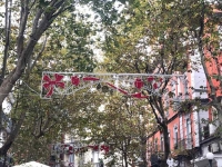 vomero_via_luca_giordano_alberi_e_luminarie.jpg