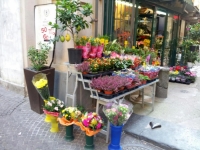 vomero_via_scarlatti_173_negozio_i_fiori_di_monica_prima_della_chiusura.jpg