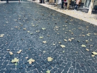 vomero_via_scarlatti_ferragosto_con_foglie_morte.jpg