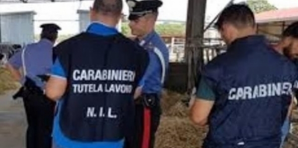 11_vogx260819_carabinieri_640x381.jpg