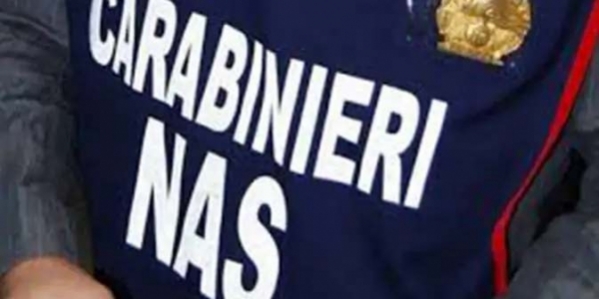 12_carabinieri_nas.jpg