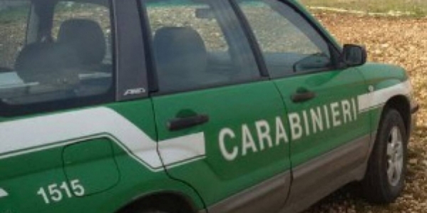 1_carabinieri_forestali_1024x576.jpg