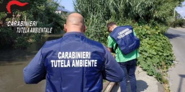 2_carabinieri_noe_1_860x450.jpg