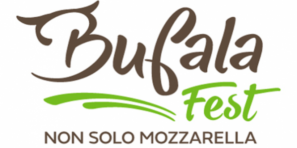 _logo.png