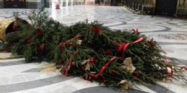 alberoabbatttuto.jpg