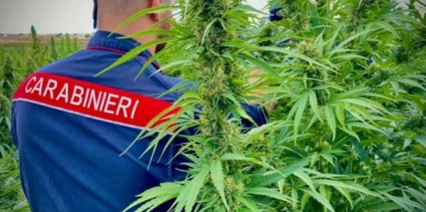 carabinieri_cannabis_1068x601.jpeg