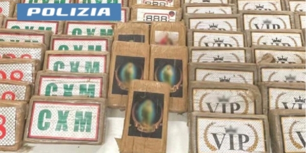 logo_mobile_droga.jpg