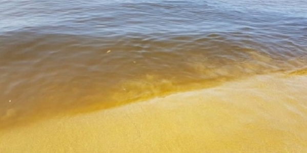 mare_giallo.jpg