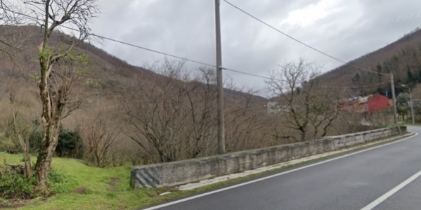 ponte_localita_gaudi_.jpg
