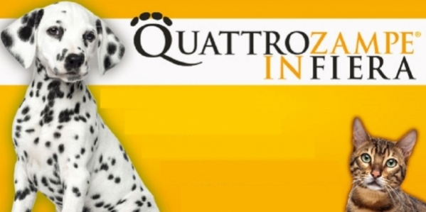 quattro_zampe_in_fiera_2019_alla_mostra_d_oltremare_napoli.jpg