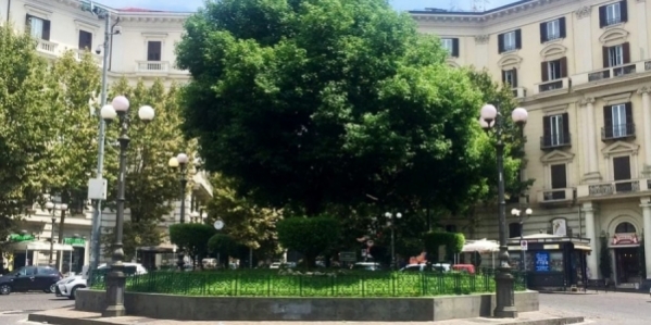 vomero_piazza_vanvitelli_2.jpg