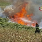 Vigili del Fuoco