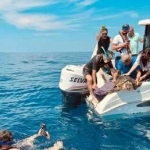Ischia