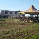 animali circo