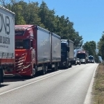 Camion in fila