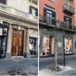 Vomero via Luca Giordano due alberi morti