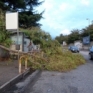 Vedi la galleria CADUTA ALBERI A NAPOLI