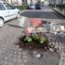 Vedi la galleria NAPOLI : BUCHE IN FIORE 