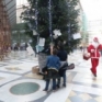 Vedi la galleria NAPOLI : Torna l’albero di Natale in Galleria Umberto i