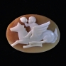 1_cammeo_eros_su_pistrice_giovanni_ascione.jpg