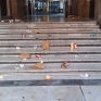 1_galleria_2.jpg