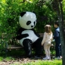 2_il_panda_nell_oasi.jpg