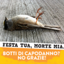 4_festa_tua_morte_mia.png