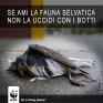 4_stop_ai_botti_di_capodanno.jpg