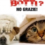 5_botti_no_grazie.jpg