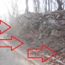 6_feb_2024_79.jpg