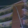 7317722_29104549_palo_2.jpg