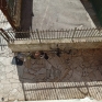 abusi_condominio_7.jpg