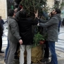 albero_di_natale_galleria_rialzato_dopo_un_raid_il_natale_scorso.jpg