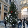 albero_di_natale_in_galleria_umberto.jpg