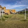 campetto_boscoreale_1.jpg