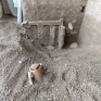 casa_di_elle_e_frisso_pompei_14.jpg