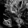 cerith_wyn_evans_foto_di_ricerca_albero_fossile_dall_antiquarium_di_boscoreale_particolare_courtesy_l_artista_e_parco_archeologico_di_pompei.jpg
