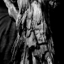 cerith_wyn_evans_foto_di_ricerca_albero_fossile_dall_antiquarium_di_boscoreale_particolare_courtesy_l_artista_e_parco_archeologico_di_pompei_2.jpg