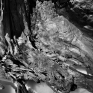 cerith_wyn_evans_foto_di_ricerca_albero_fossile_dall_antiquarium_di_boscoreale_particolare_courtesy_l_artista_e_parco_archeologico_di_pompei_3.jpg
