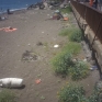 foto_spiagge_7.jpg