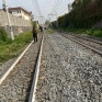 img_20241017_wa0005.jpg