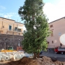 la_canfora_al_posto_della_fontana_piazzetta_angri_2.jpg