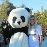 la_mascotte_panda.jpg