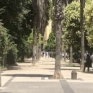 Arenella via Bertini parco Mascagna