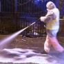 Disinfestazione