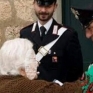 Truffa anziani