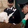 truffa anziani