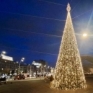 Albero piazza Garibaldi