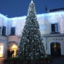 Albero di Natale Capri